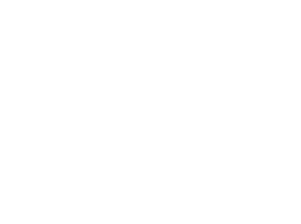 Logo Skyline Sailing white